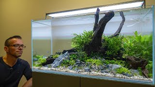 NEW AQUARIUM MAINTENANCE with 40 NEW FISH 4K [upl. by Noiramed]