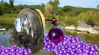 😱😱Freshwater giant clams nurture enchanting purple pearls no less impressive than saltwater pearls [upl. by Mendelson]