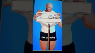 The diet that can kill you shorts trending viral trendingshorts viralshorts [upl. by Lan]