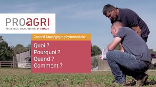 Conseil Stratégique Phytosanitaire [upl. by Torrey]