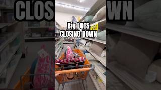 Big lots closing down I found some great deals on some home decor shorts wow home decor [upl. by Gorrono553]