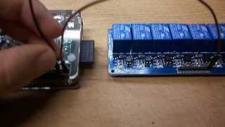 How to Home Automation  connect 8 channel relay  Raspberry Pi [upl. by Leonard]