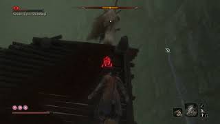 Sekiro Glitch Snake Eyes Shirahagi No Damage [upl. by Gavriella]