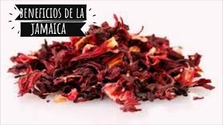 BENEFICIOS Y CONTRAINDICACIONES DEL AGUA DE LA FLOR DE JAMAICA COCINA Y MAS CON ARMIDA [upl. by Sax170]