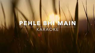 PEHLE BHI MAIN  KARAOKE  ANIMAL  VISHAL MISHRA [upl. by Lerrehs947]