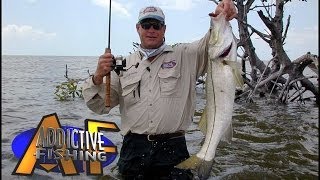 Wade Fishing Shark Infested Waters of the Florida Everglades [upl. by Dawaj]