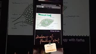 Monocot leaf 🌿 handmade diagram by farha anatomy class11 neetaspirant monocot [upl. by Naesad]