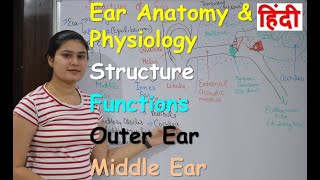 Ear anatomy amp physiology in Hindi  Part 1  Structure  Functions  Outer ear  Middle ear [upl. by Anigar]