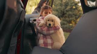 WeatherTech Commercial Puppy National [upl. by Ennairam80]