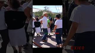 🤠 Bailador Con Experiencia Don Alejandro De Xilitla Huapangos Huastecos [upl. by Anirb]