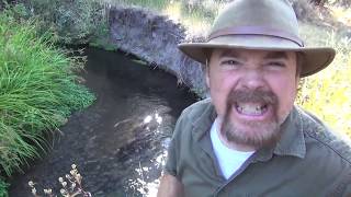 HOW to FIND GOLD  In Rivers and Creeks  ask Jeff Williams [upl. by Dnomse]