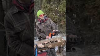 Ported ms391 portedchainsaw chainsaw chainsawstihl hotsaw chainsawsharpener [upl. by Stucker]