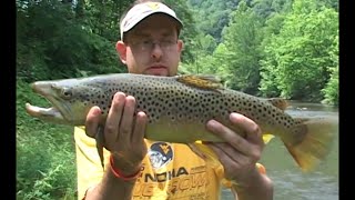 Elkhorn Creek WV Wild Trout Fishing [upl. by Carina]