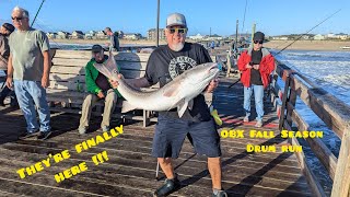 Avon Pier  Fishing For Bull Red Drum OBX [upl. by Vince794]