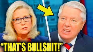 Lindsey Graham SCREAMS At Liz Cheney During On Air COLLAPSE [upl. by Rosalinde]