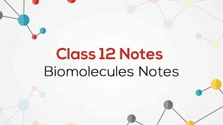 Biomolecules Class 12 Chemistry Chapter 10 handwritten notes chemistry [upl. by Perpetua]