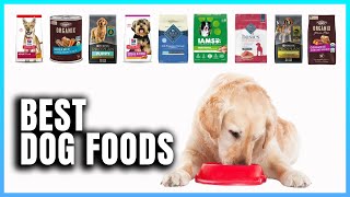 Top 10 Best Dog Foods  Extreme Reviewer [upl. by Redan]