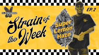 Super Lemon Haze  Strain Of The Week Episode 2 [upl. by Lipp272]