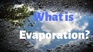 What is Evaporation and Why do Puddles Disappear DaytoDay Science [upl. by Ailuy]