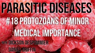 Parasitic Diseases Lectures 18 Protozoans of Minor Medical Importance [upl. by Enneiviv]