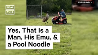 Texas Man Goes Viral for Battling Pet Emu With Pool Noodle [upl. by Wallinga8]