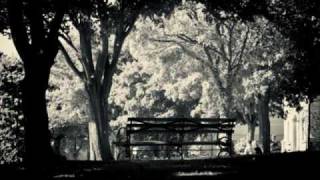 Sitting In The Park by Billy Stewart [upl. by Eidod]