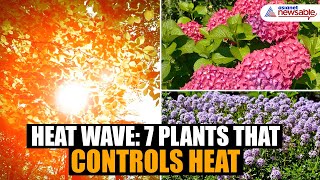 Heat Wave 7 plants for controlling heat [upl. by Oznola]