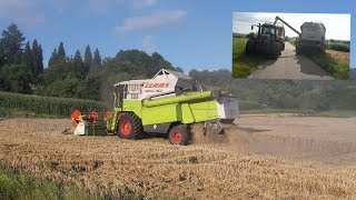 Claas Mega 360 mit C540  Weizenernte 2017 [upl. by Ataner]