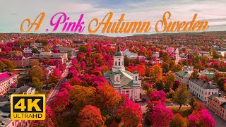 A Pink Autumn in Sweden Drone Footage 2020 4K Härnösands Kommun Sweden Travel Vlog [upl. by Nareht]