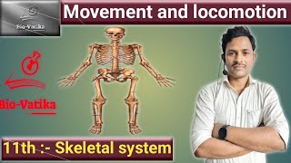 Bio vatika  class  11th II Movement and Locomotion  Skeletal System II [upl. by Patty]