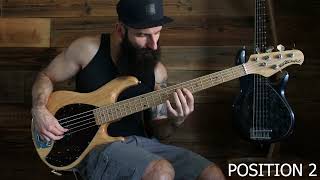 Erykah Badu  Penitentiary Philosophy Bass Cover [upl. by Wiburg863]