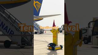 Tenerife Ryanair flight landing tenerife travel tourism youtubeshorts viral [upl. by Ullman]