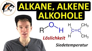 Alkane Alkene Alkine amp Alkohole  Zusammenfassung [upl. by Zasuwa477]