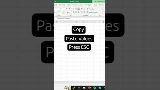 Create a Keyboard or Mouse Shortcut For CopyPaste As Values in Excel excel exceltips shorts [upl. by Haodnanehs]