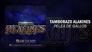 Tamborazo Alakines  Pelea de Gallos 2022 [upl. by Buddie]