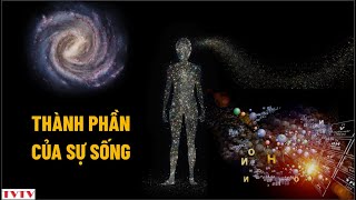 Thành phần của sự sống  Thư Viện Thiên Văn [upl. by Ariela247]