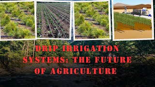 Drip Irrigation Systems Revolutionizing Water Efficiency in Agriculture  Drip irrigation Basics [upl. by Attenol]