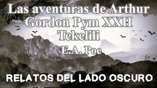 Las aventuras de Arthur Gordon Pym XXII Edgar A Poe Relato literario  Relatos del lado oscuro [upl. by Eynenihc]