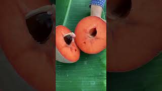 SAWO RAKSASA Mamey sapote [upl. by Fonville250]