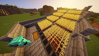 I Built an Automatic Wheat Farm in Minecraft [upl. by Alyakam4]