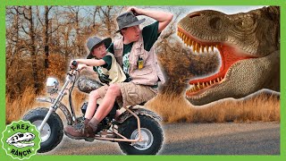 Is that the Mommy TRex Vehicles Dinosaurs  MORE  TRex Ranch Dinosaur Videos for Kids [upl. by Anujra]