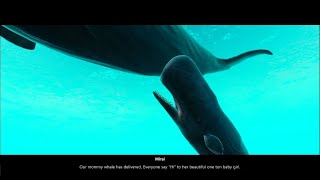 VIRTUAL SEAS Beyond Blue Episode 1 [upl. by Aufmann]