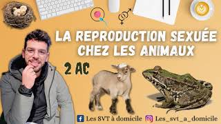 La reproduction chez les animaux  2AC  التوالد عند الحيوانات [upl. by Tressa890]