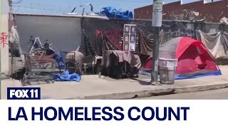 LA Homeless Count Volunteers take to the streets [upl. by Rosel784]