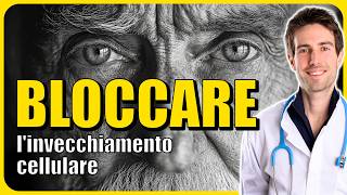 Il MECCANISMO per fermare lINVECCHIAMENTO con Prof Marco Demaria [upl. by Nyrual343]