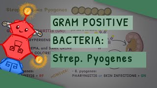 Gram Positive Bacteria Streptococcus Pyogenes [upl. by January]