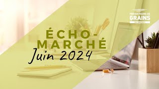 ÉchoMarché  Juin 2024 [upl. by Asen]