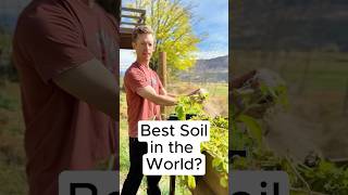 The soil matters And not all soil is the same microgreens soil health soilmatters [upl. by Darla]