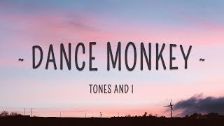 Tones and I  Dance Monkey Lyrics [upl. by Yatnoed885]