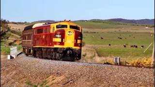 Streamliners  Alco 4464 on Tarago Tours amp Bungendore Dinner Train [upl. by Letsirc]